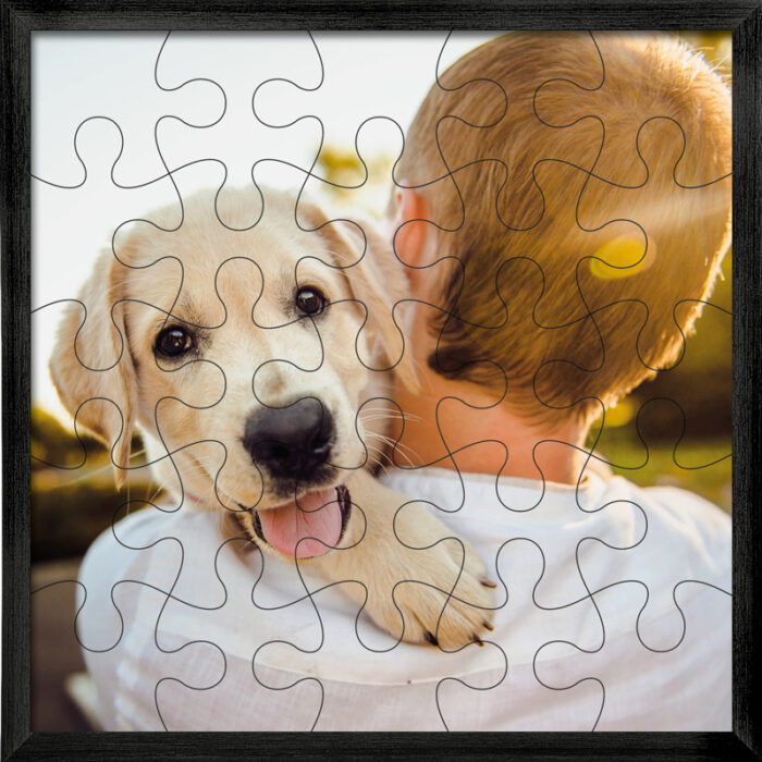 Pic and Puzzle